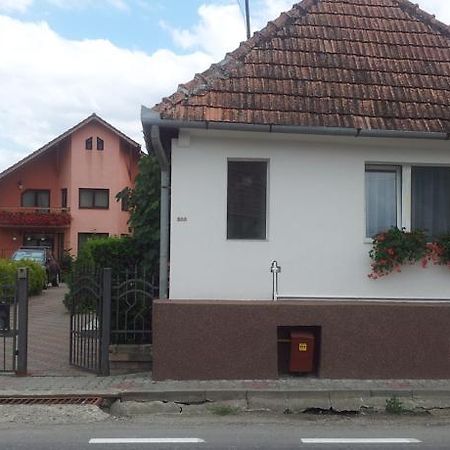 Casuta Andrey & Dan Villa Mihai Viteazu  Dış mekan fotoğraf