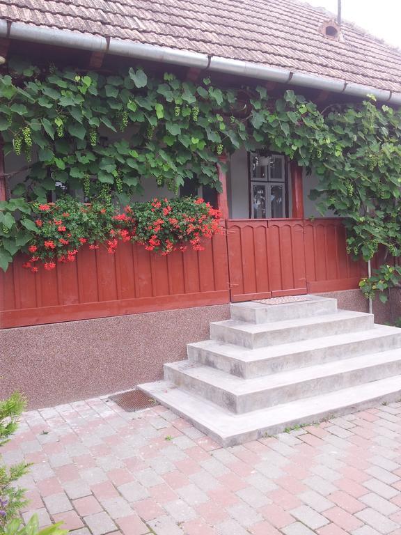 Casuta Andrey & Dan Villa Mihai Viteazu  Oda fotoğraf