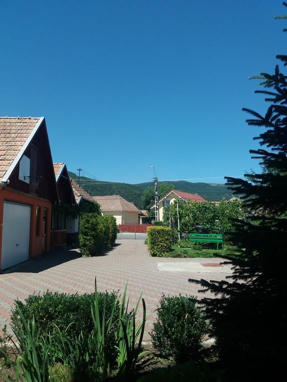 Casuta Andrey & Dan Villa Mihai Viteazu  Dış mekan fotoğraf